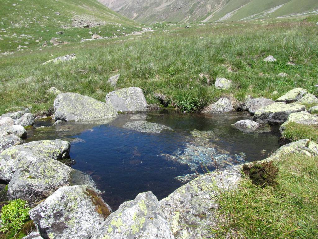 Кавказ-2014. Ручей с озерцом в Ирикчате